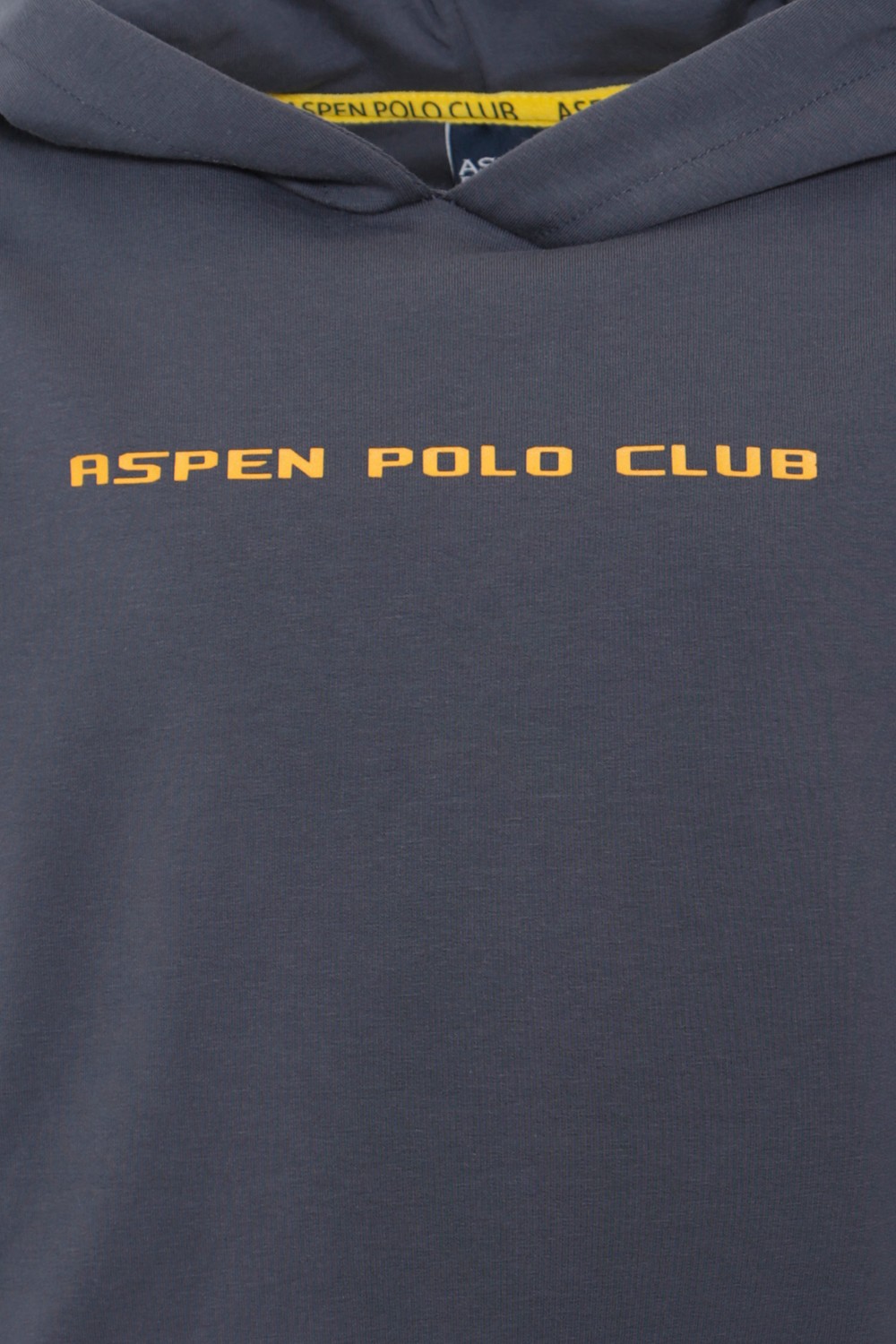 ASPEN Polo Club Двухцветное худи с капюшоном